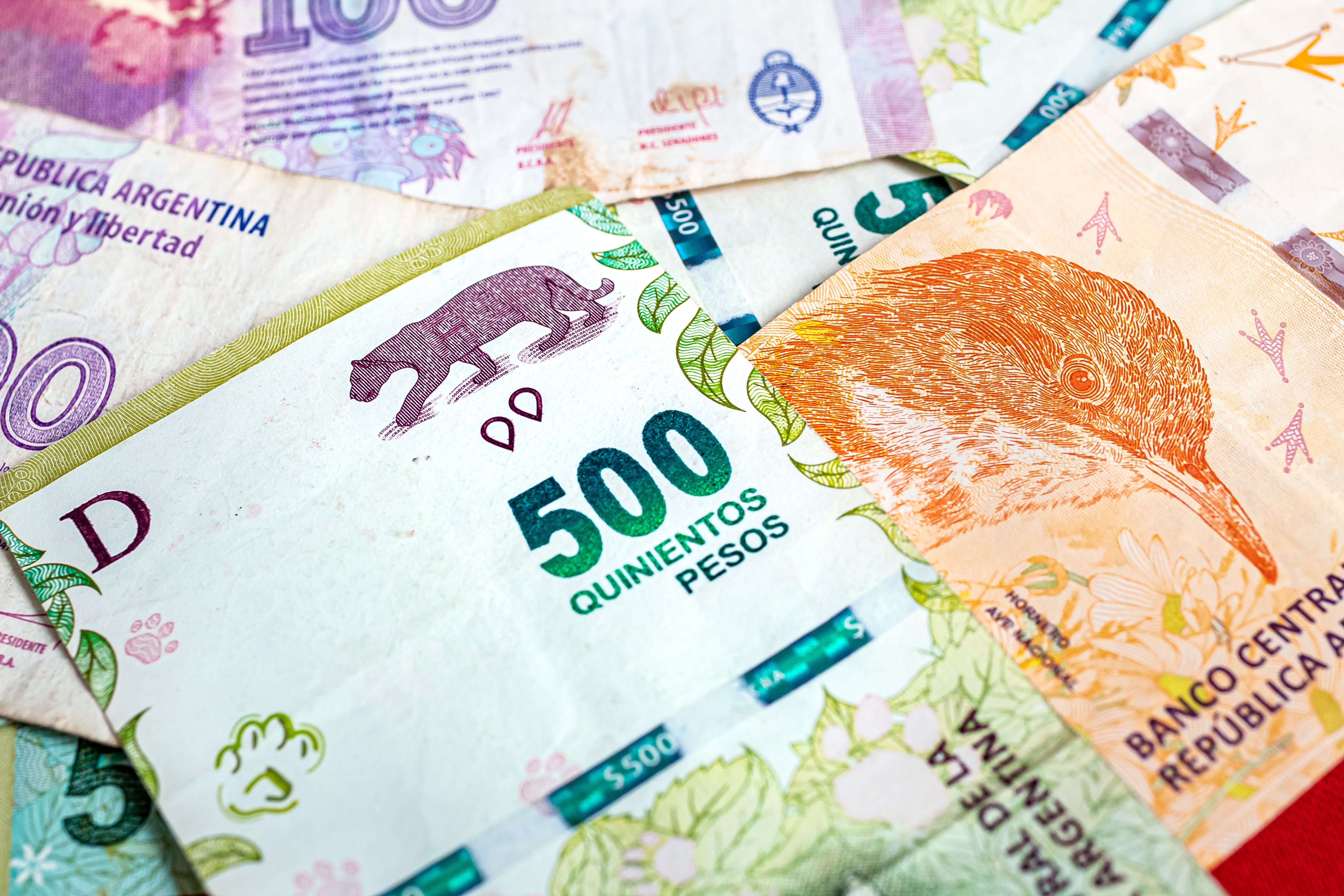 Composición con billetes de distintas denominaciones de pesos argentinos, destacando diseño, colores y elementos representativos de la economía de Argentina.