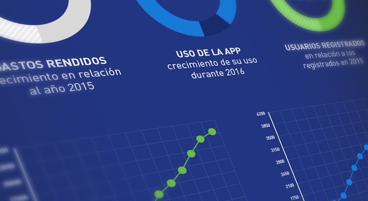 Resumen Rindegastos 2016
