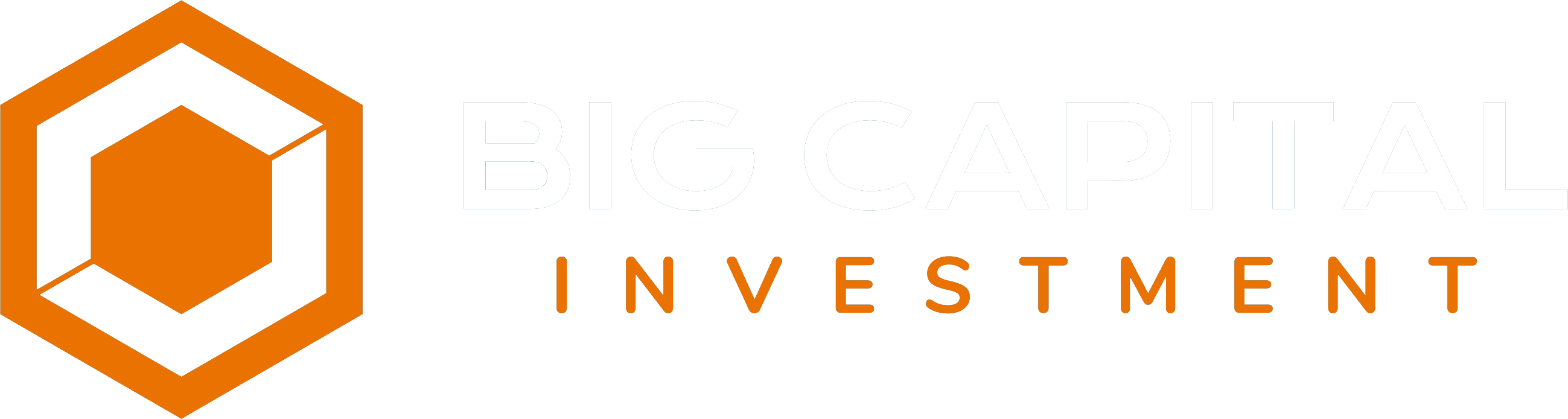 big-capital-logo-light.6f1d27d