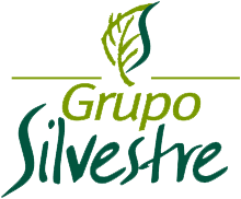 grupo_silvestre